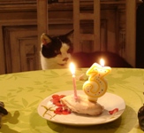 birthday